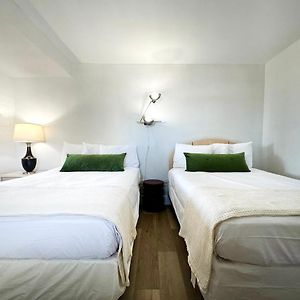 Apartament z 1 sypialnią